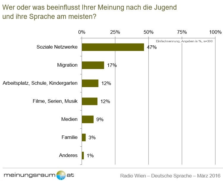 Wer oder was beeinflusst Ihrer Meinung nach die Jugend und ihre Sprache am meisten? Beeinflussung der Jugend und ihrer Sprache: 47% durch Soziale Netzwerke, 17% durch die Migration, 12% Schule/Arbeitsplatz, 12% Filme/Serien/Musik