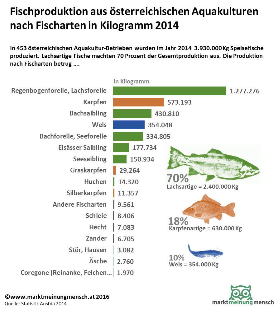 Die Infografik zeigt die Speisefischproduktion im Jahr 2014. In 453 österreichischen Aquakultur-Betrieben wurden im Jahr 2014 3.930.000 Kg Speisefische produziert. Lachsartige Fische machten 70 Prozent der Gesamtproduktion aus. 
