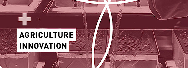 Bis zum Jahr 2050 werden über 9 Milliarden Menschen auf der Erde leben. Die Nachfrage nach Agrarprodukten und Fleisch wird entsprechend anwachsen. Die landwirtschaftliche Fläche müsste sich verdoppeln, um den Bedarf zu decken – was faktisch nicht möglich ist. Es müssen Lösungen zur Effizienzsteigerung sowie zur Schaffung von alternativen Anbauflächen gefunden werden. Für die Schaffung alternativer Flächen kommen Urban Gardening oder Vertical Farming in Frage. Vorhandene Flächen können durch das sogenannte Precision Farming optimal bewirtschaftet werden. Durch dieses datengestützte Vorgehen können die Beschaffenheit des Bodens und die unterschiedliche Ertragsfähigkeit innerhalb eines Feldes berücksichtigt werden. Agrardrohnen überwachen die Felder automatisiert und kontinuierlich und helfen so, den Zustand der Nutzpflanzen optimal zu erfassen.