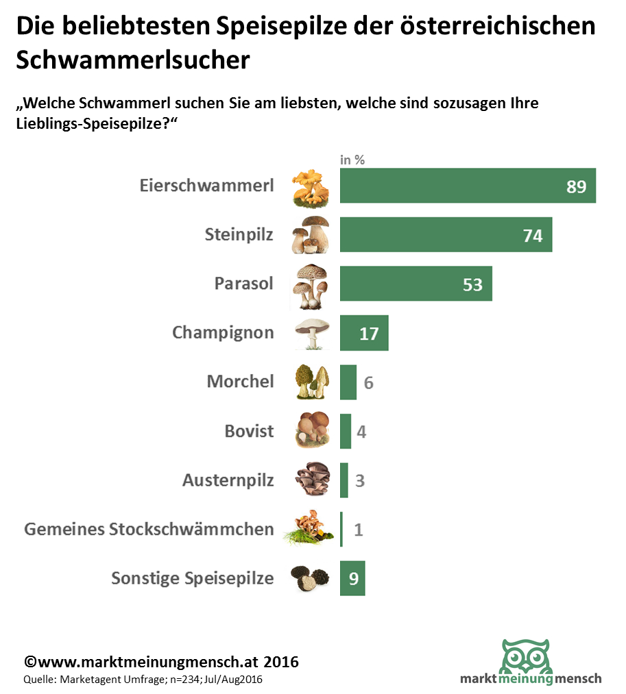 Am beliebtesten sind Eierschwammerl, gefolgt von Steinpilzen und Parasol