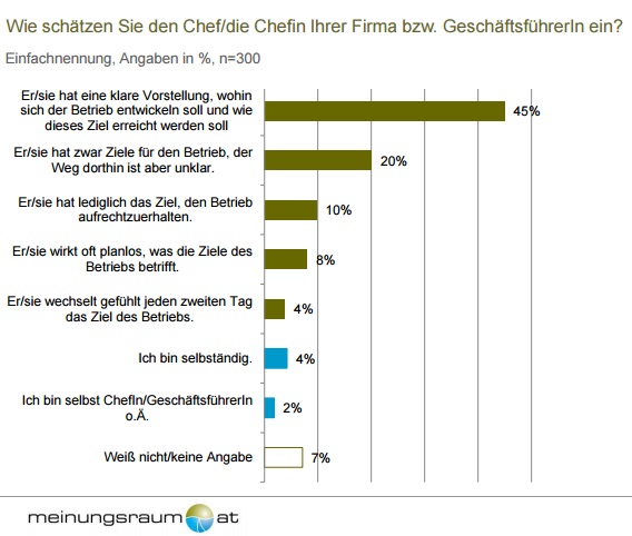 Die überwiegende Mehrheit der Befragten nimmt wahr, dass die Unternehmensspitze klare Ziele für den Betrieb hat