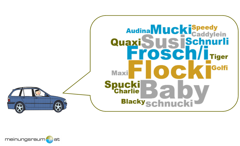 Die häufigsten Autonamen sind Baby, Flocki und Frosch/i