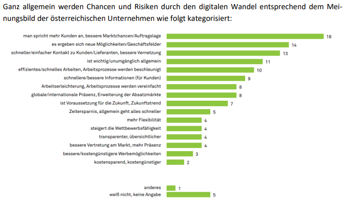 Die vorliegende Studie der Julius-Raab-Stiftung stellt fest, dass der Großteil der österreichischen Unternehmer in die Kategorien adaptive Übernehmer und defensive Anwender (36 % bzw. 40 %) fällt. Als digitale Innovatoren gelten 7 % der Unternehmer, sie weisen eine hohe Innovationsbereitschaft und eine dementsprechend hohe Digitalisierung der Unternehmensprozesse auf. Als passiv Ausharrende gelten 15 % und nur eine verschwindende Minderheit von 1 % sieht sich als digitaler Asket. Betrachtet man die Studie etwas branchenspezifischer, wird ersichtlich, dass sich speziell die IT- und Consulting-Branche sowie die Banken- und Versicherungsbranche und der Handel als digitale Innovatoren und adaptive Anwender hervortun. Als defensive Anwender zeigt sich die Mehrheit der Unternehmen im Sektor Transport und Verkehr. Darüber hinaus wird festgestellt, dass junge Unternehmen, Familienbetriebe und kleine Unternehmen tendenziell innovationsfreudig sind. Auf die Frage, wie wichtig Innovation für den wirtschaftlichen Erfolg ihres Unternehmens ist, antworteten insgesamt 78 % der Befragten mit sehr wichtig oder einigermaßen wichtig. Eine deutliche Mehrheit sieht also die Notwendigkeit, neuartige Produkte, Prozesse etc. anzudenken, um längerfristig erfolgreich zu sein. Die Studie zeigt aber auch, dass eine verstärkte Digitalisierung zwar in den Unternehmensabläufen stattfindet, die Unternehmer selber der Digitalisierung aber eine grundsätzliche Skepsis entgegenbringen. Die digitale Transformation wird somit eher als eine Notwendigkeit gesehen.